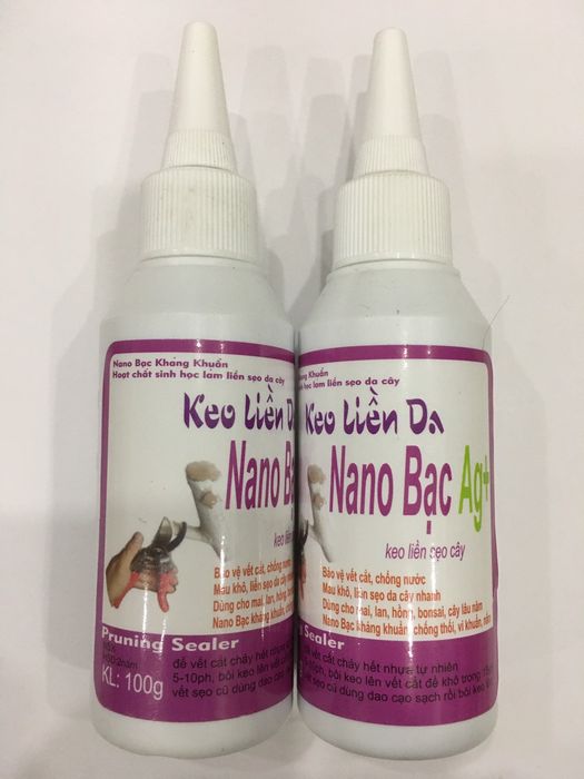 Hình ảnh minh họa hiệu quả Keo NANO BẠC trên vết cắt cây trồng
