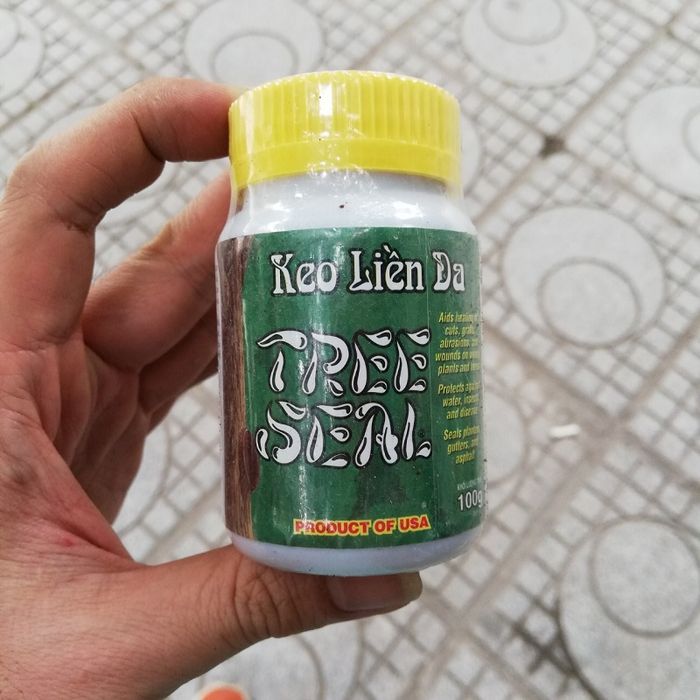 Hình ảnh minh họa Keo liền sẹo Morrisons cao cấp