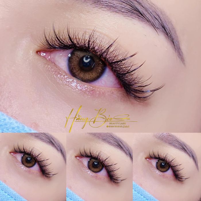 Hình ảnh thực tế kiểu mi Volume sang trọng tại Hằng Béo Beauty Lashes
