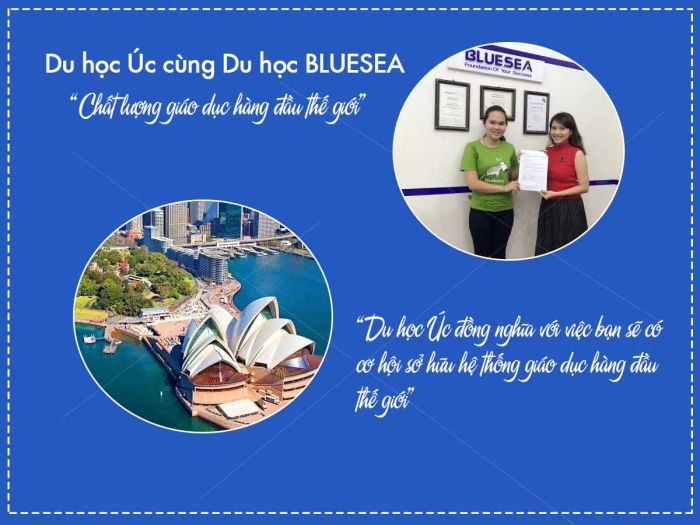 Hình ảnh văn phòng tư vấn du học BlueSea
