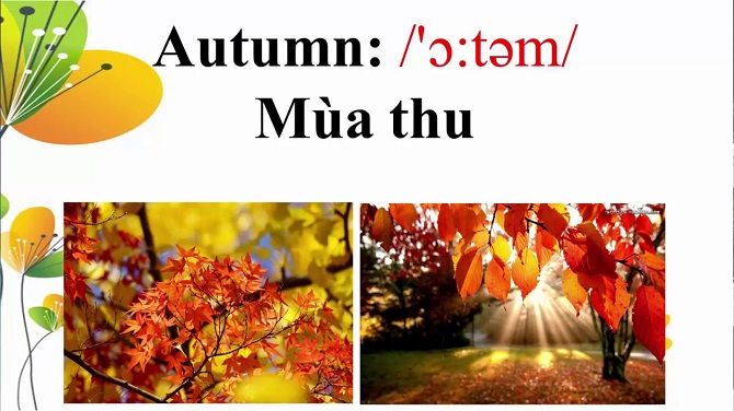 Ảnh minh họa: Cô bé ngồi bên cửa sổ ngắm lá thu rơi (Nguồn: internet)