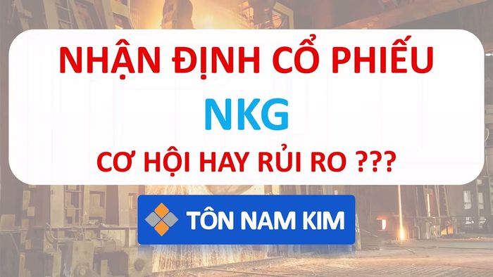 Hình ảnh minh họa cổ phiếu NKG