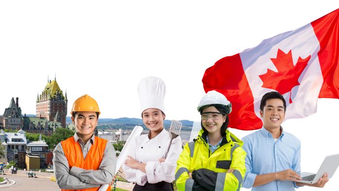IMM Group - Hình ảnh thứ hai minh họa hệ thống đối tác toàn cầu và quy trình làm việc chuyên nghiệp