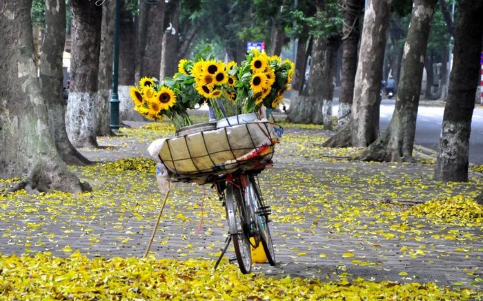 Ảnh minh họa: Lễ hội Trung thu rực rỡ sắc màu dưới ánh trăng rằm (Nguồn: internet)
