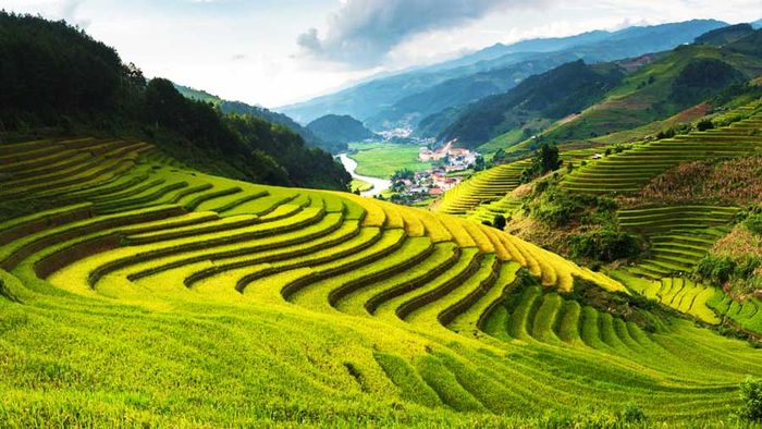 Hình ảnh minh họa (Nguồn từ Internet) 1