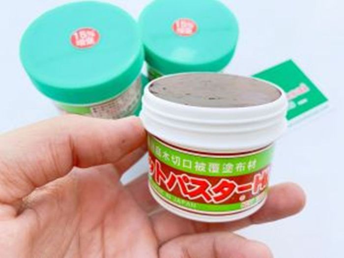 Hình ảnh thực tế ứng dụng Keo Cut-Paster trên cây trồng