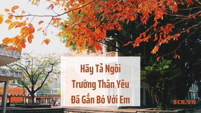 Hình ảnh minh họa sinh động về trường tiểu học (Nguồn: internet)