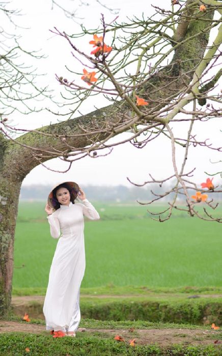 Hình ảnh minh họa: Người phụ nữ trong sắc thiên thanh giữa mùa hoa tháng Ba (Nguồn: Sưu tầm)