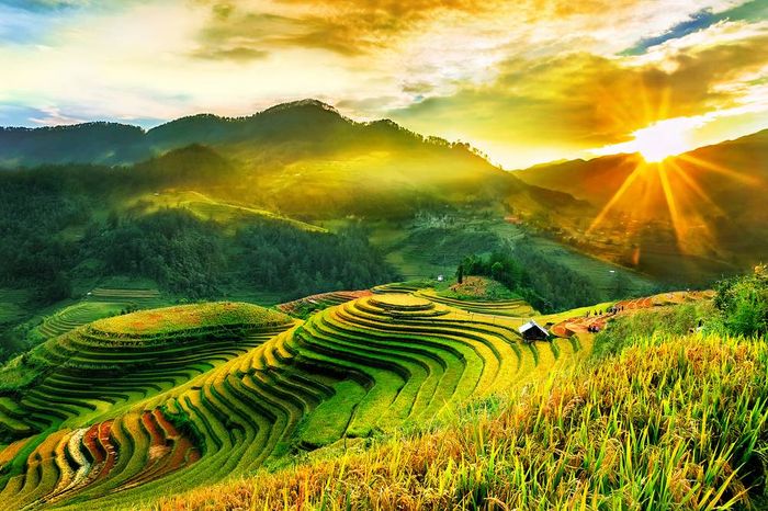 Hình ảnh minh họa (Nguồn từ Internet) 1