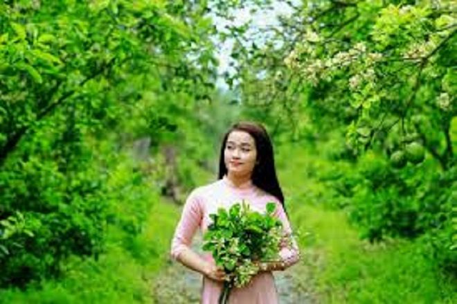 Hình ảnh minh họa: Vườn bưởi trắng hoa - Ký ức tuổi thơ (Nguồn: Sưu tầm)