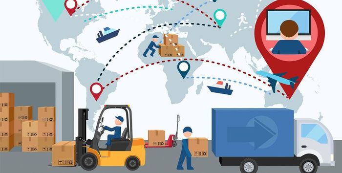 Bộ sưu tập hình ảnh dịch vụ vận tải chuyên nghiệp Hoàng Phi Vi Na
