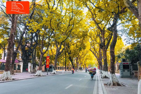 Ảnh minh họa: Cảnh sắc quê hương mùa thu với cánh đồng lúa chín vàng (Nguồn: internet)