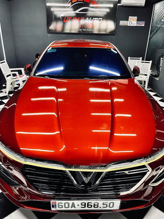 Khám phá thế giới chăm sóc xe hơi đẳng cấp tại Út Đạt Auto Detailing qua những hình ảnh ấn tượng và chân thực nhất.
