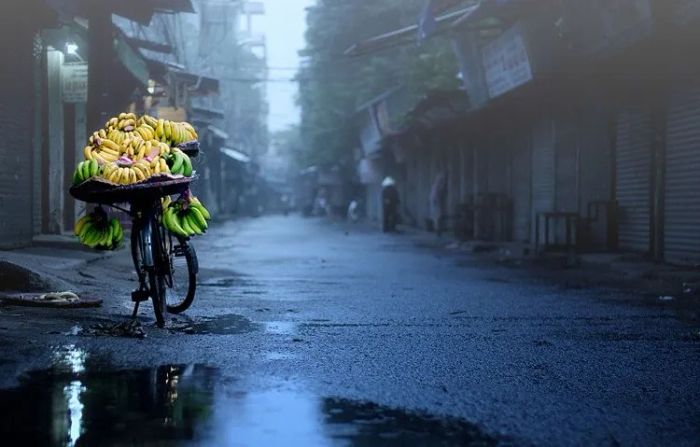Đất trời vào đông mang chút u ám và ẩm mốc, nhưng lại tạo nên một sức hút lạ kỳ với nhiều người. ảnh 1