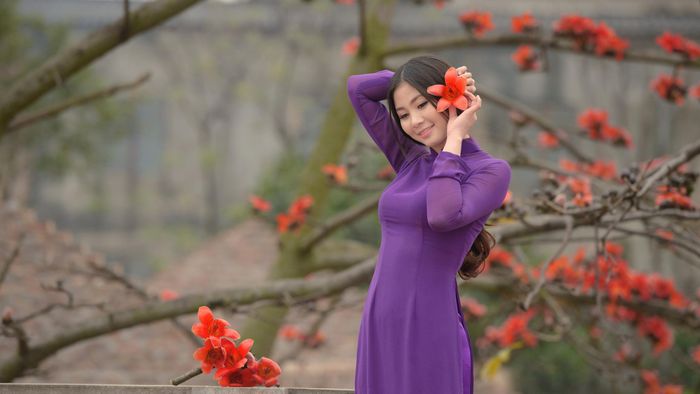 Ảnh minh họa (Nguồn internet) ảnh 1