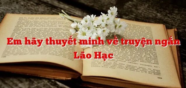 Hình ảnh minh họa số 2 - Nguồn từ internet