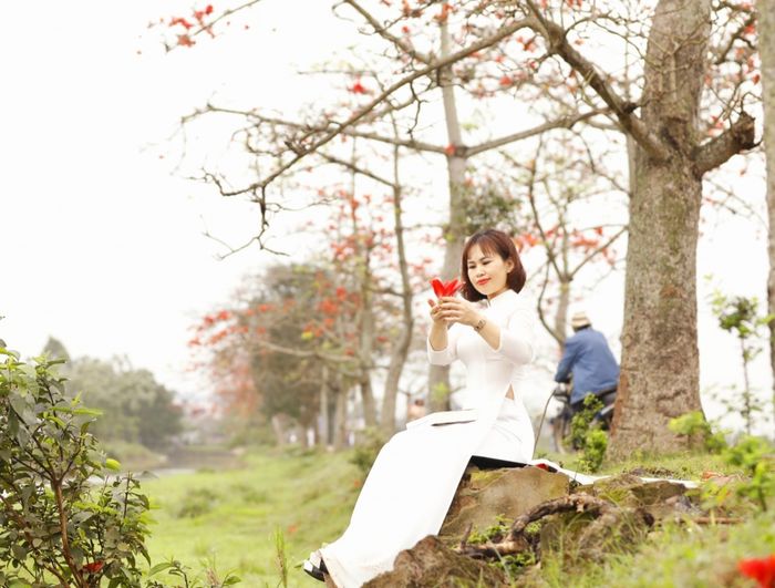 Ảnh minh họa (Nguồn internet) ảnh 1