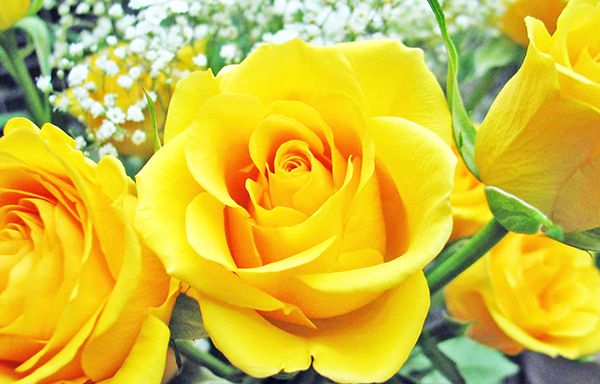 Tác phẩm nghệ thuật minh họa số 1 - Khoảnh khắc đắt giá được ghi lại (Nguồn: Tổng hợp)