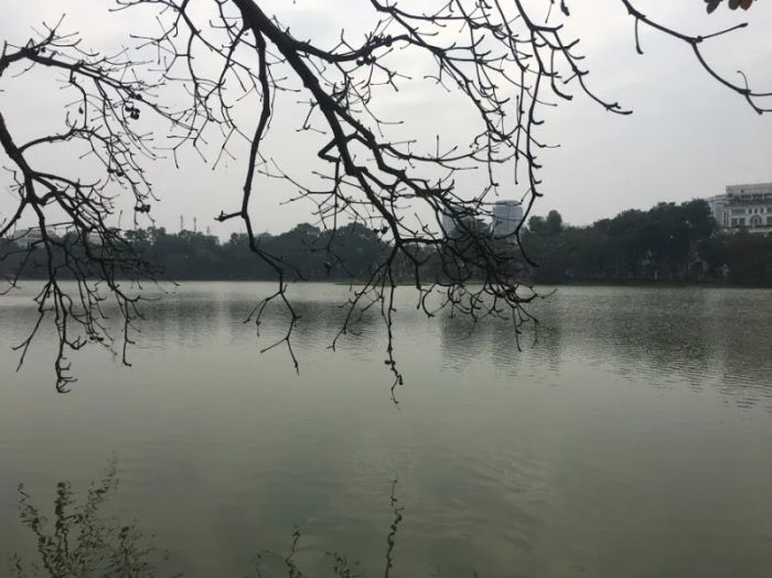 Mặt hồ êm ả, tĩnh lặng như một tấm gương phản chiếu, không một gợn sóng làm xao động bầu không khí yên bình. ảnh 1