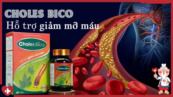 Choles Bico ảnh 2