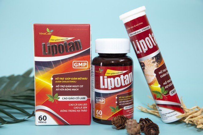 Lipotan ảnh 2
