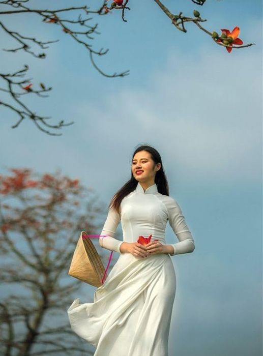 Ảnh minh họa (Nguồn internet) ảnh 1