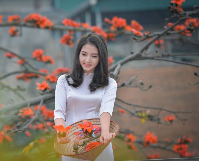 Ảnh minh họa (Nguồn internet) ảnh 1