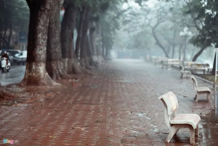 Đường phố mùa đông, lặng lẽ và tĩnh mịch như một bức tranh buồn, vắng vẻ. ảnh 1