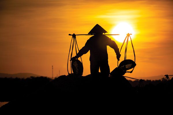Hình ảnh minh họa (Nguồn: Internet)