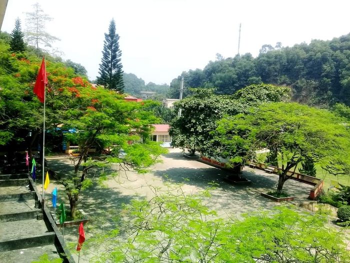 Không gian xanh mát của Trường THPT Trần Nhật Duật