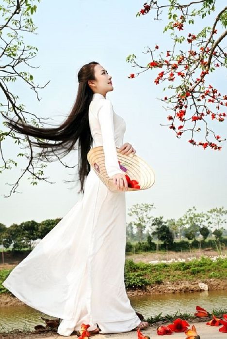 Ảnh minh họa (Nguồn internet) ảnh 1