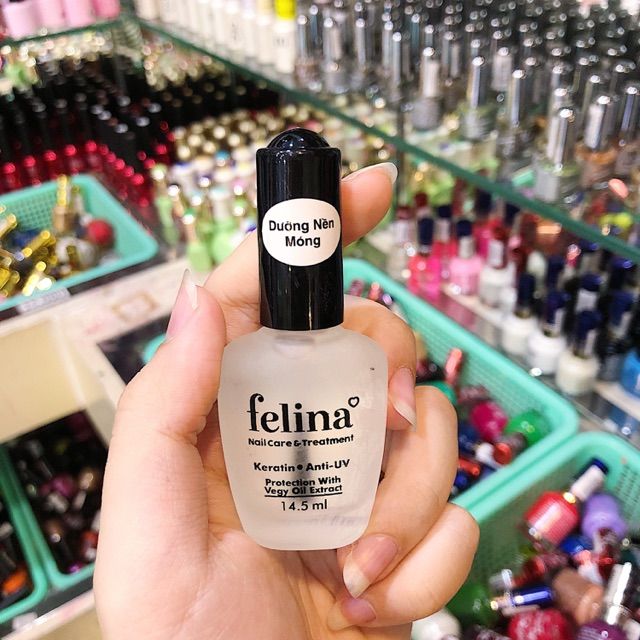 Hình ảnh sơn dưỡng nền móng cao cấp Felina 1