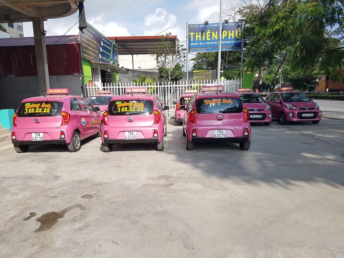 Hình ảnh ấn tượng về đội xe Taxi Hoàng Anh