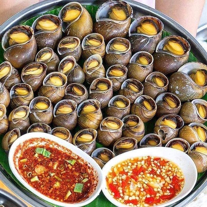 Ốc Lửa ảnh 2