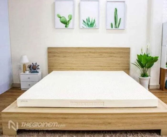 Thế Giới Nệm Đà Nẵng ảnh 2