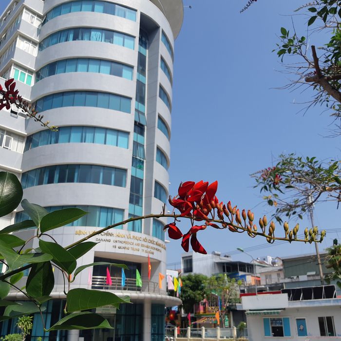 Không gian trưng bày ấn tượng tại Đặc Sản Chính Gốc