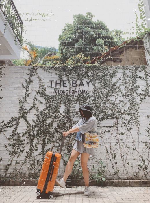 The Bay Homestay - Không gian xanh mát với giàn dây leo