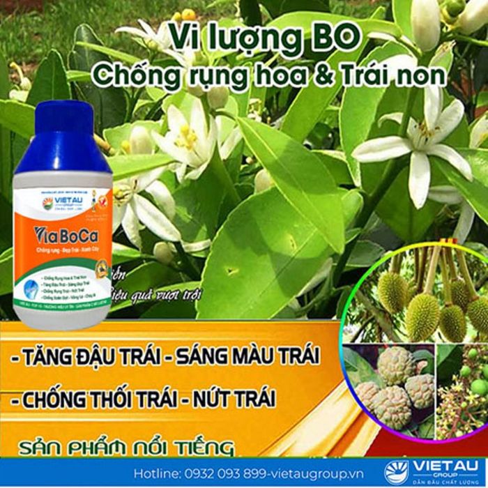 Hình ảnh minh họa phân bón lá Via BoCa (ảnh 2)