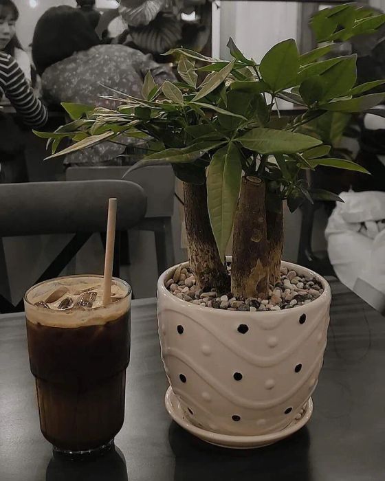 Hình ảnh đẹp tại DOP CAFFE