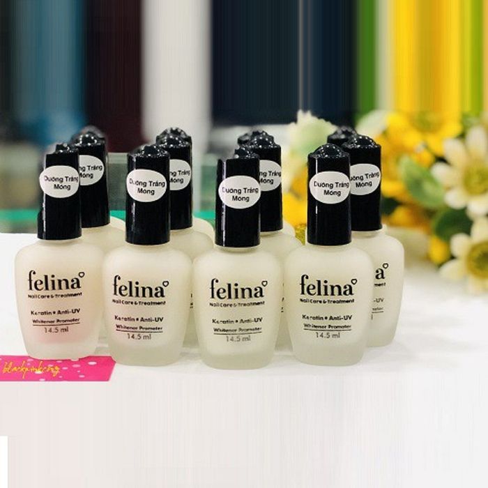 Hình ảnh sơn dưỡng nền móng cao cấp Felina 2