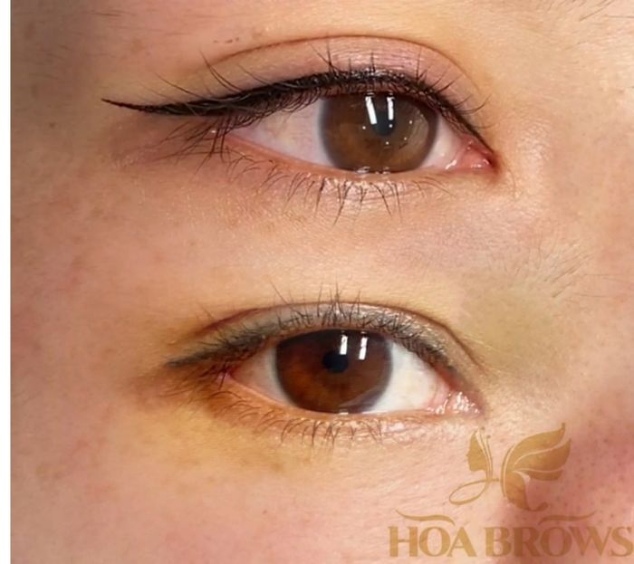 Không gian đào tạo chuyên nghiệp tại Học viện Hòa Brows