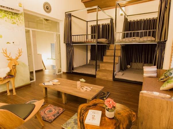 The Leaf Homestay - Khu vực thư giãn đầy nghệ thuật