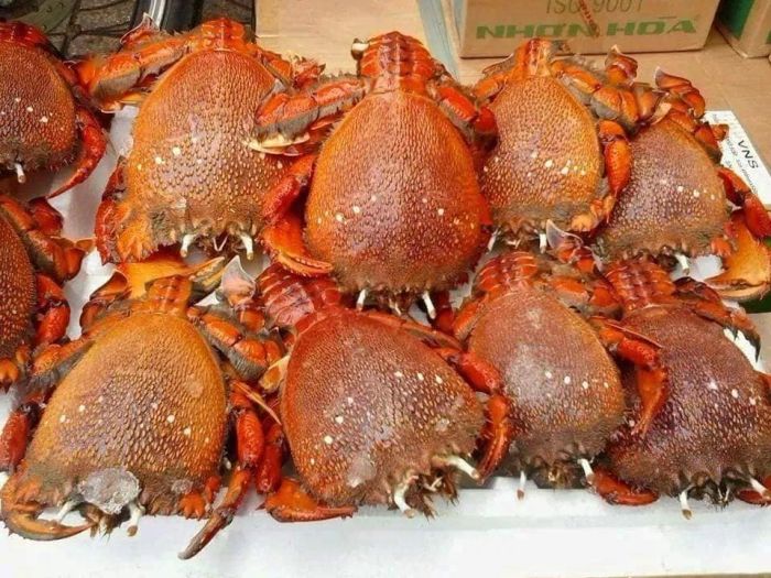 Nhà hàng Hải Âu Lý Sơn - hình ảnh 2