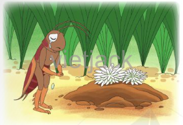 Hình ảnh minh họa sống động (Nguồn: internet) - Ảnh 1