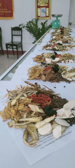 Phòng khám chuyên khoa Y học cổ truyền Hội Đông Y tỉnh Quảng Trị ảnh 3
