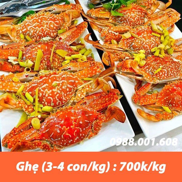 Nhà hàng Phong Cảnh - Hải sản tươi ngon, không gian thoáng đãng tại biển Hải Tiến
