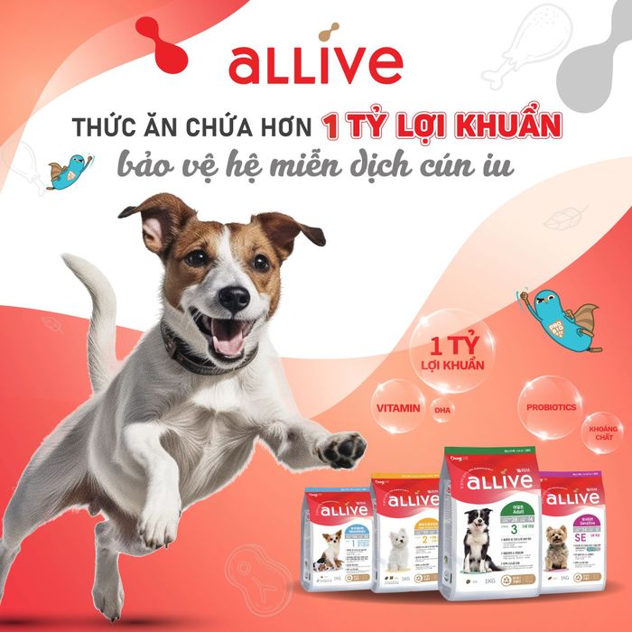 Hình ảnh không gian mua sắm tại Hachiko Pet Spa & PetShop Gia Lai