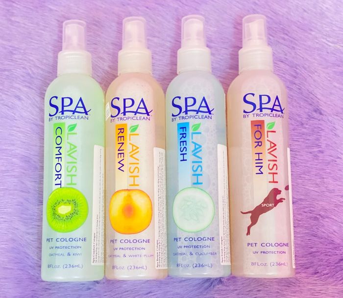Hình ảnh xịt dưỡng lông Tropiclean SPA cao cấp