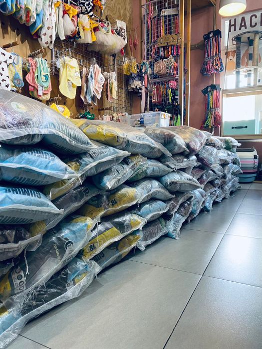 Hình ảnh khu vực chăm sóc thú cưng tại Hachiko Pet Spa & PetShop Gia Lai