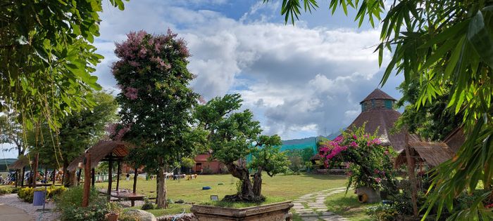 Nông trại Eco Tân Hưng - Ảnh góc thơ mộng với vườn hoa hồng rực rỡ
